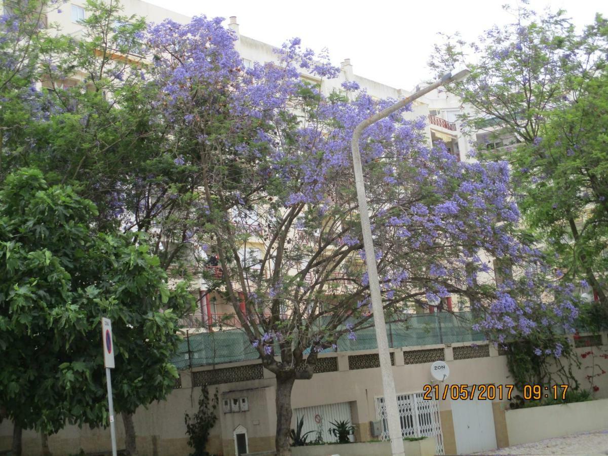 Edificio Fragata A Apartment Armacao de Pera Exterior photo
